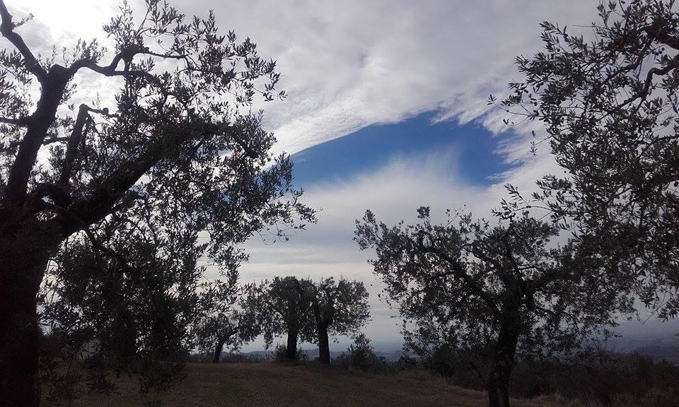 Tramonti E Valli Calvi dellʼ Umbria Eksteriør bilde